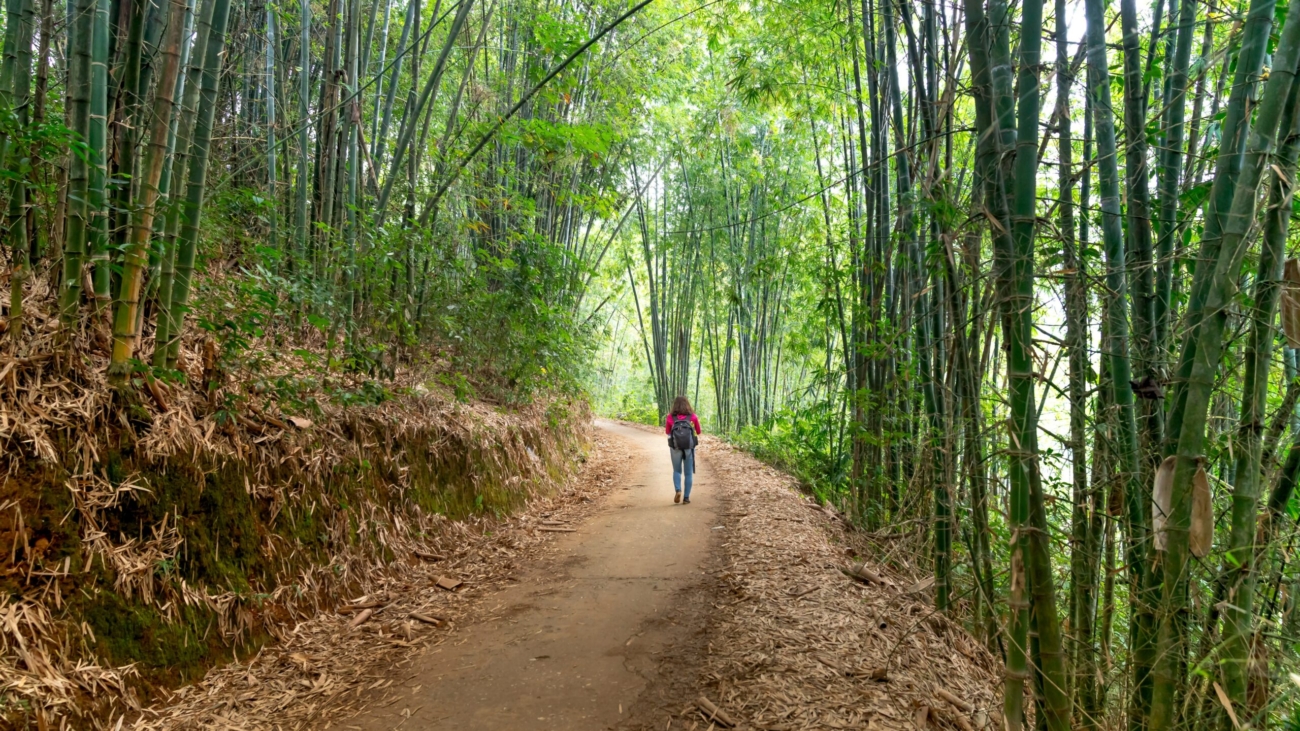 scenic.hiddentrails.fun