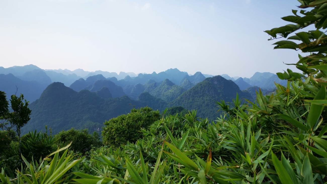 scenic.hiddentrails.fun